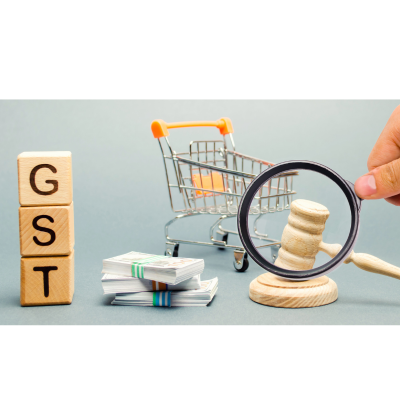 Gst Database Providers Delhi