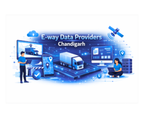 E-way Data Providers Chandigarh